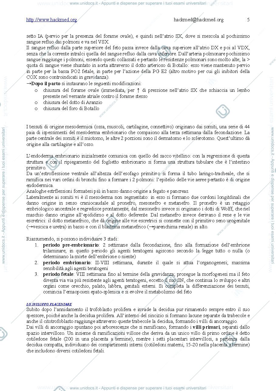 Anteprima pagina 5 — Ginecologia 