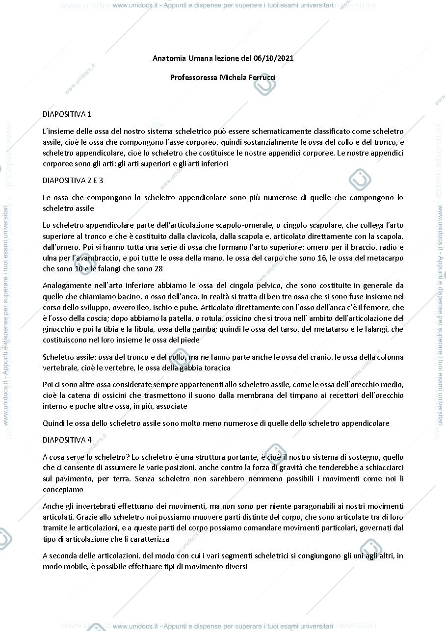 Anteprima pagina 1 — Anatomia umana - Professoressa Michela Ferrucci sbobinatura lezione del 06 ottobre 2021