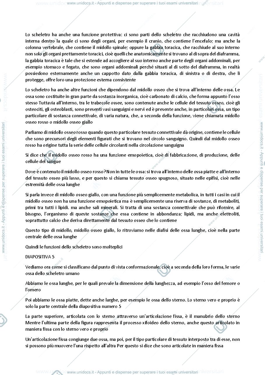 Anteprima pagina 2 — Anatomia umana - Professoressa Michela Ferrucci sbobinatura lezione del 06 ottobre 2021
