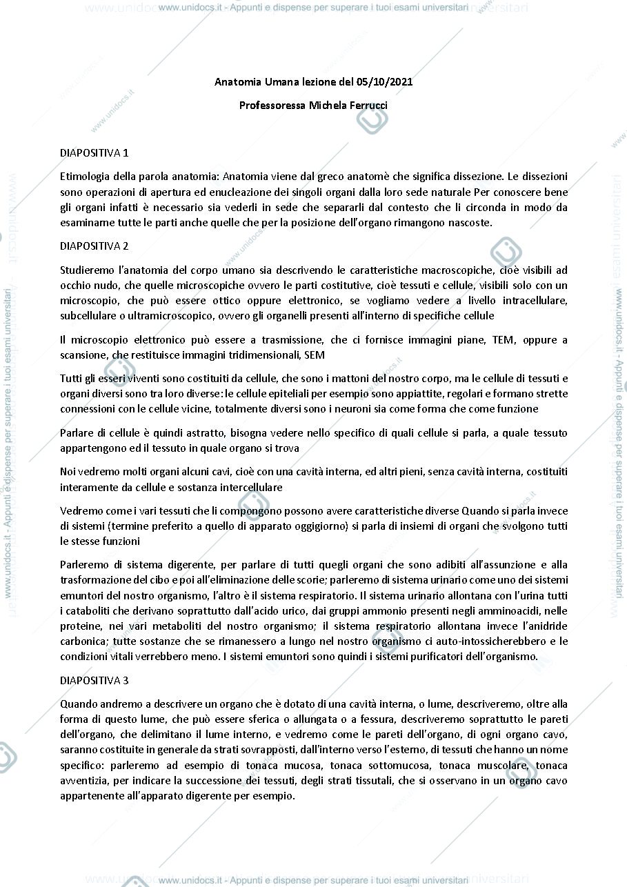 Anteprima pagina 1 — Anatomia umana - Professoressa Michela Ferrucci, sbobinatura prima lezione del 05 ottobre 2021