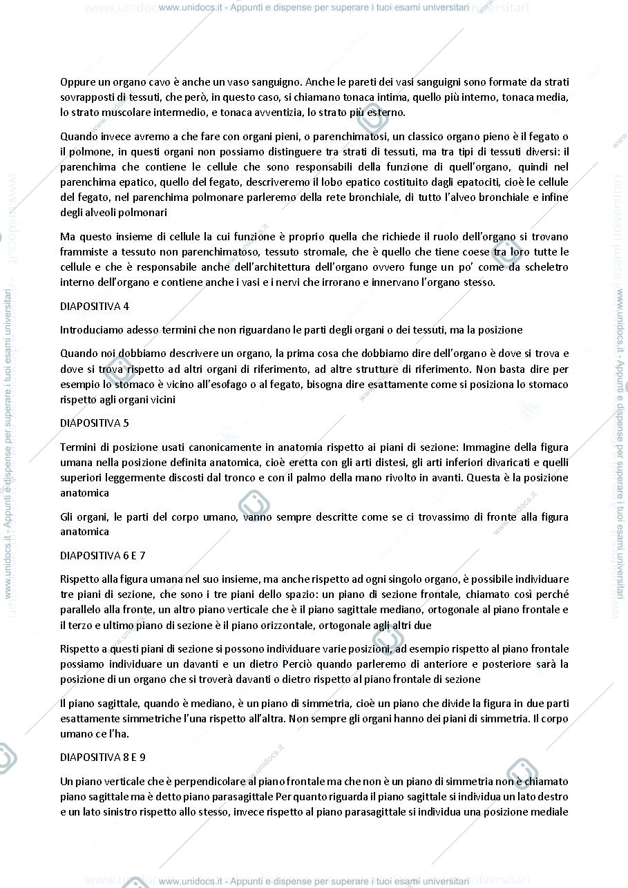 Anteprima pagina 2 — Anatomia umana - Professoressa Michela Ferrucci, sbobinatura prima lezione del 05 ottobre 2021