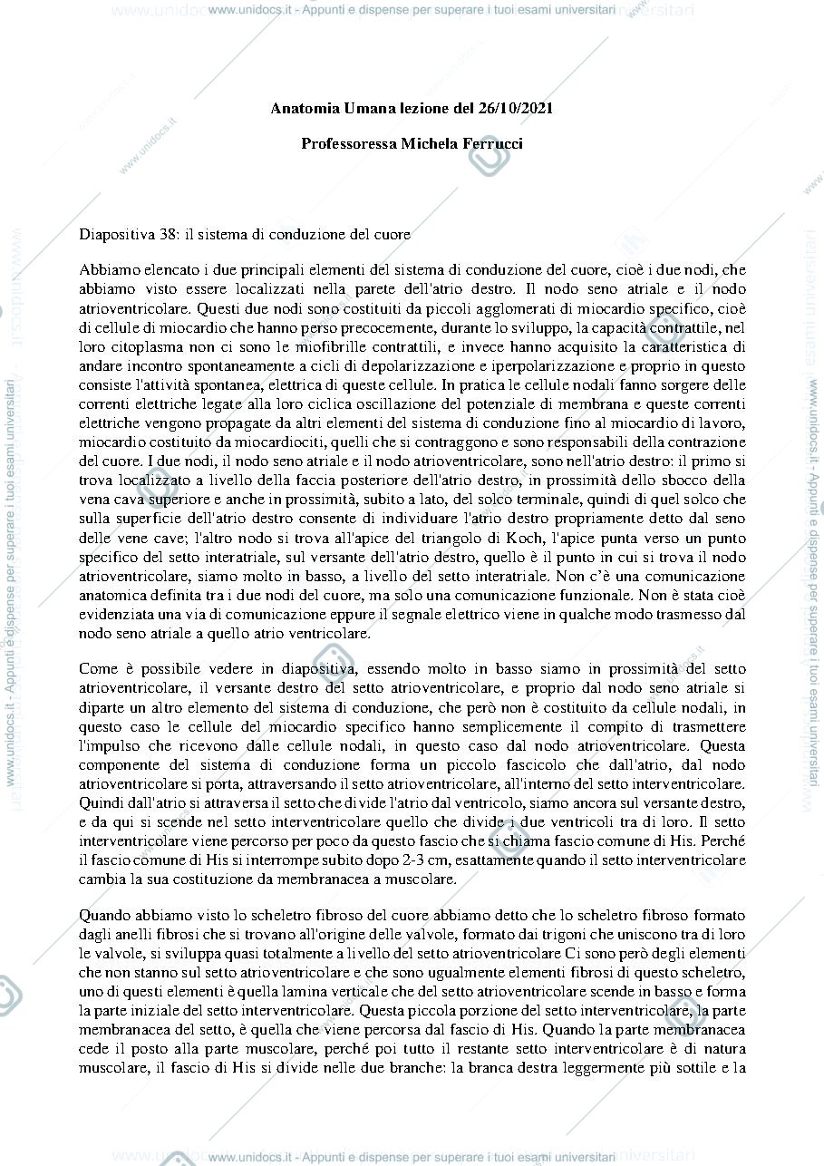 Anteprima pagina 1 — Anatomia umana - Professoressa Michela Ferrucci, sbobinatura lezione del 26 ottobre 2021