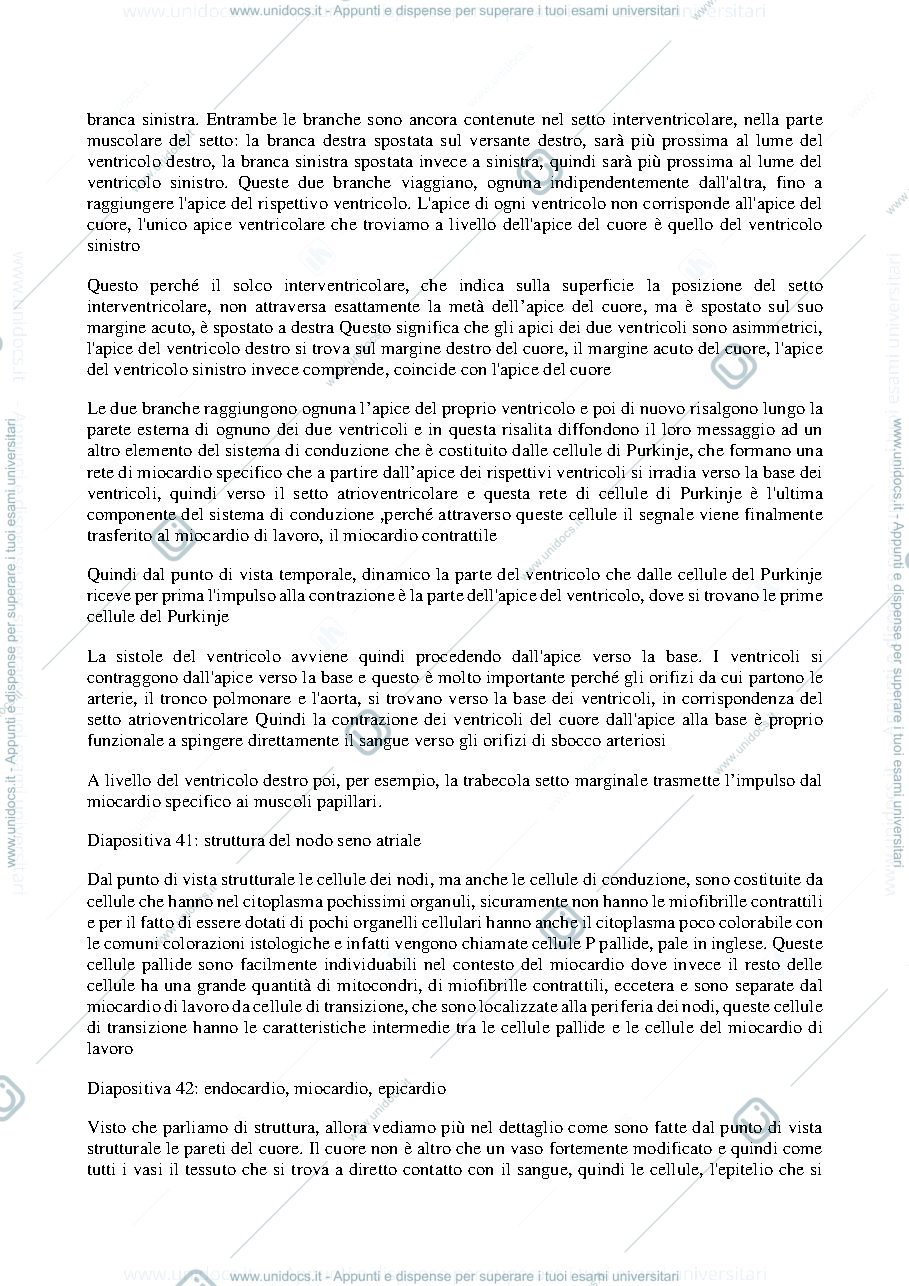 Anteprima pagina 2 — Anatomia umana - Professoressa Michela Ferrucci, sbobinatura lezione del 26 ottobre 2021