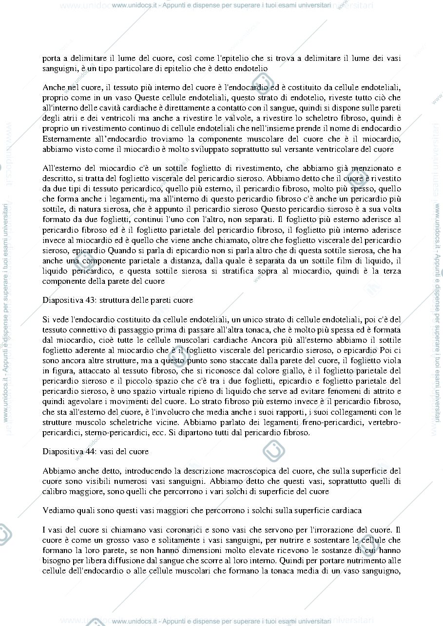 Anteprima pagina 3 — Anatomia umana - Professoressa Michela Ferrucci, sbobinatura lezione del 26 ottobre 2021