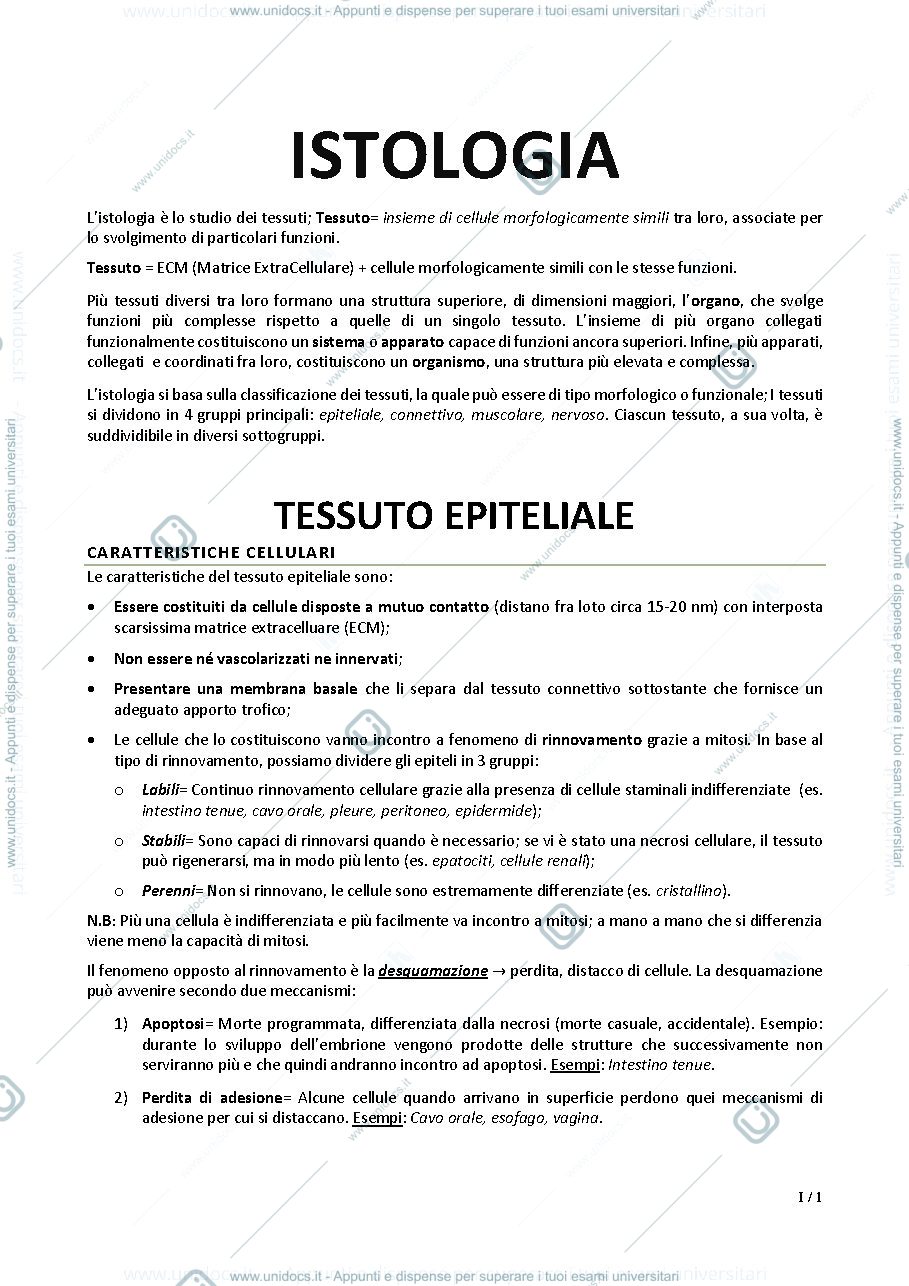 Anteprima pagina 1 — Istologia per le professioni sanitarie