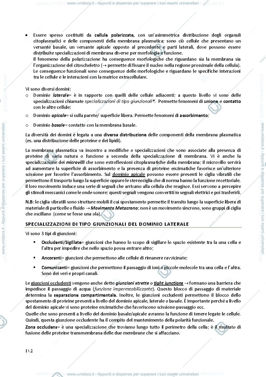 Anteprima pagina 2 — Istologia per le professioni sanitarie