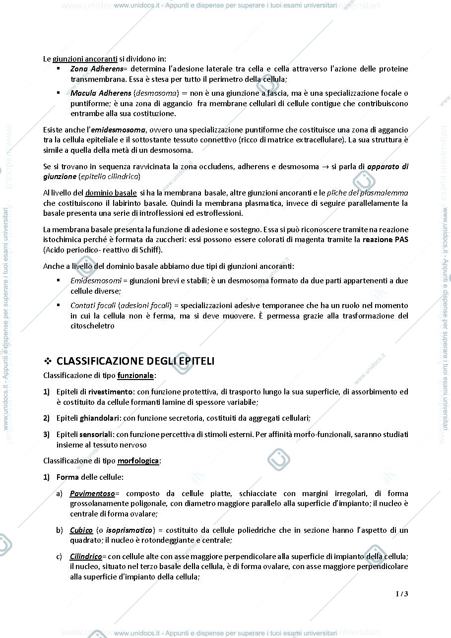 Anteprima pagina 3 — Istologia per le professioni sanitarie