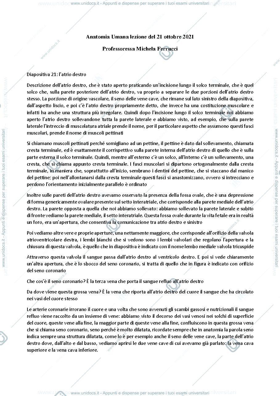 Anteprima pagina 1 — Anatomia umana - Professoressa Michela Ferrucci, sbobinatura lezione del 21 ottobre 2021