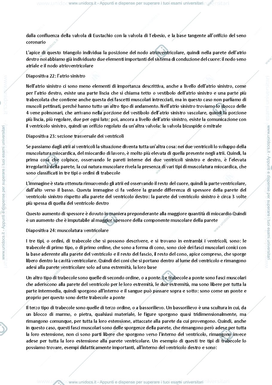 Anteprima pagina 3 — Anatomia umana - Professoressa Michela Ferrucci, sbobinatura lezione del 21 ottobre 2021