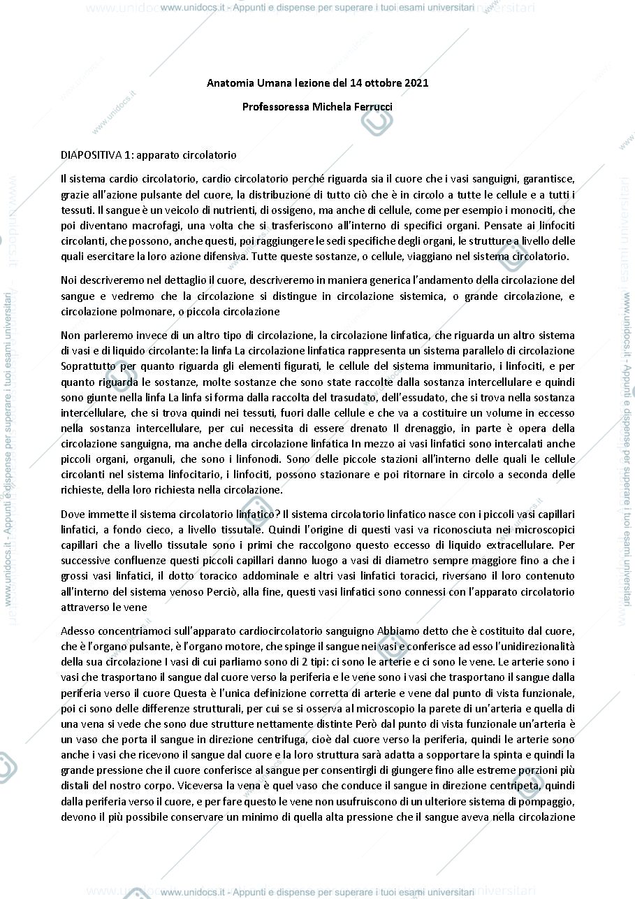 Anteprima pagina 1 — Anatomia umana - Professoressa Michela Ferrucci, sbobinatura lezione del 14 ottobre 2021