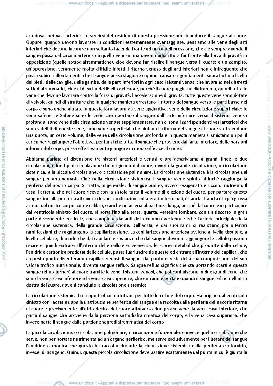 Anteprima pagina 2 — Anatomia umana - Professoressa Michela Ferrucci, sbobinatura lezione del 14 ottobre 2021