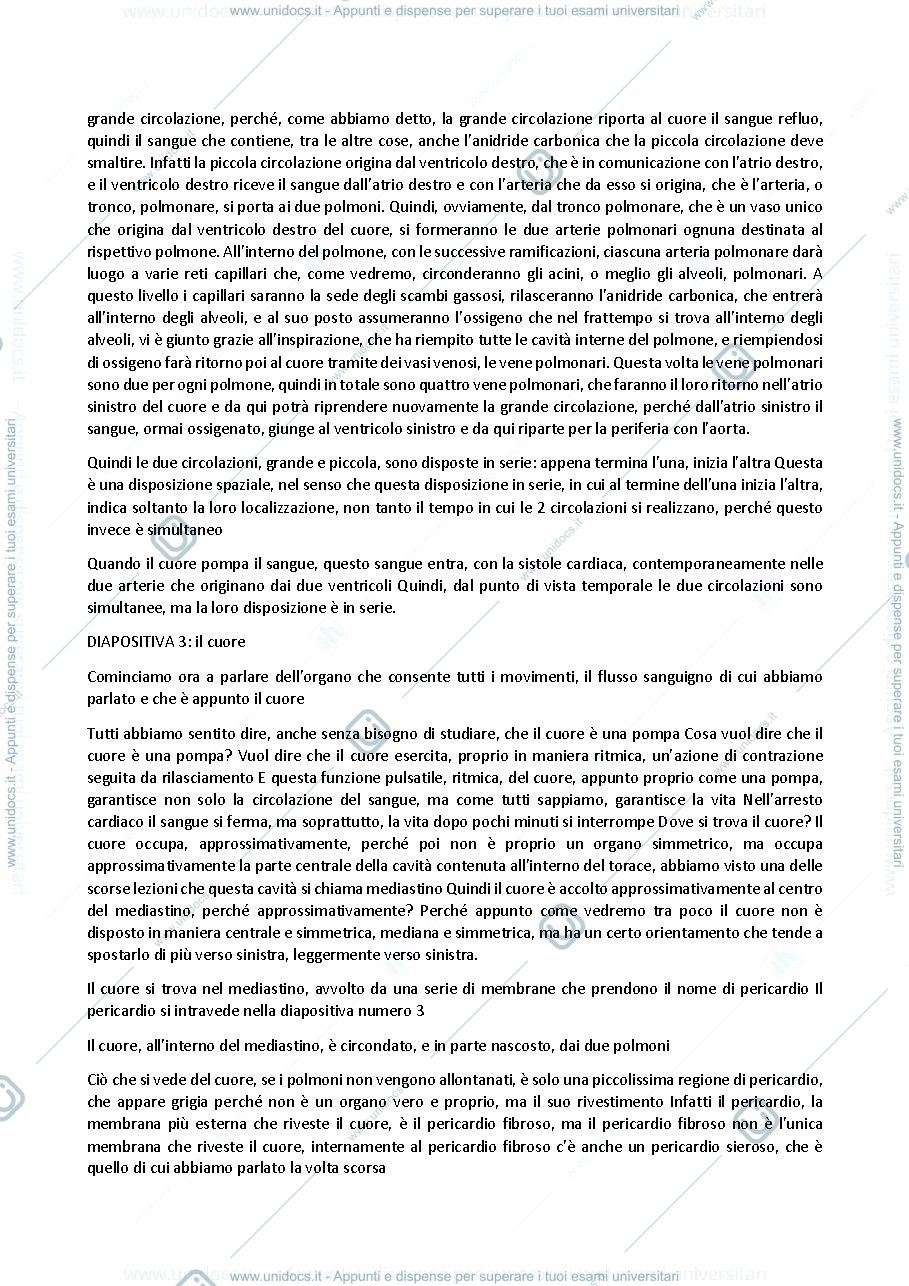 Anteprima pagina 3 — Anatomia umana - Professoressa Michela Ferrucci, sbobinatura lezione del 14 ottobre 2021