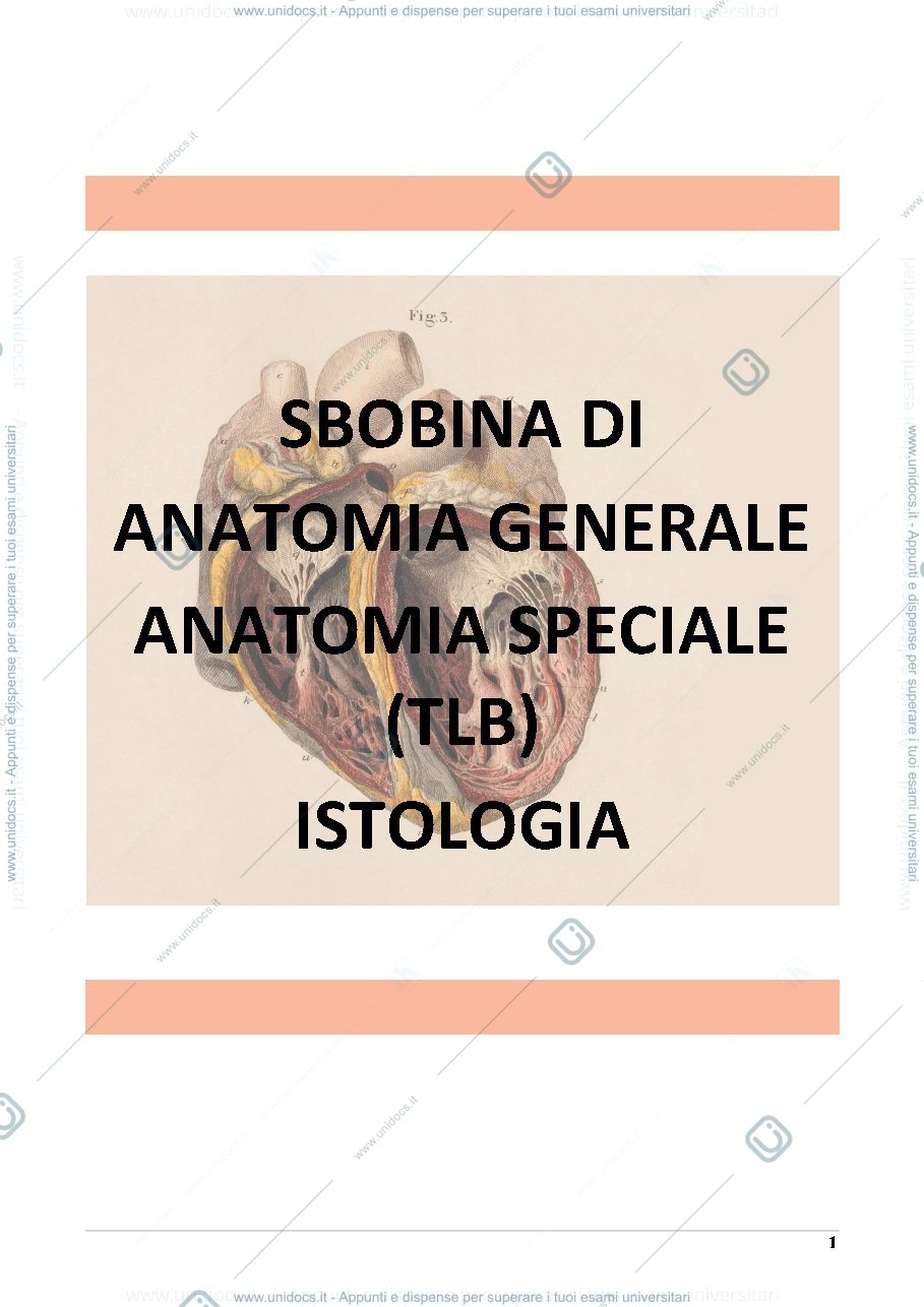 Anteprima pagina 1 — Anatomia e Istologia