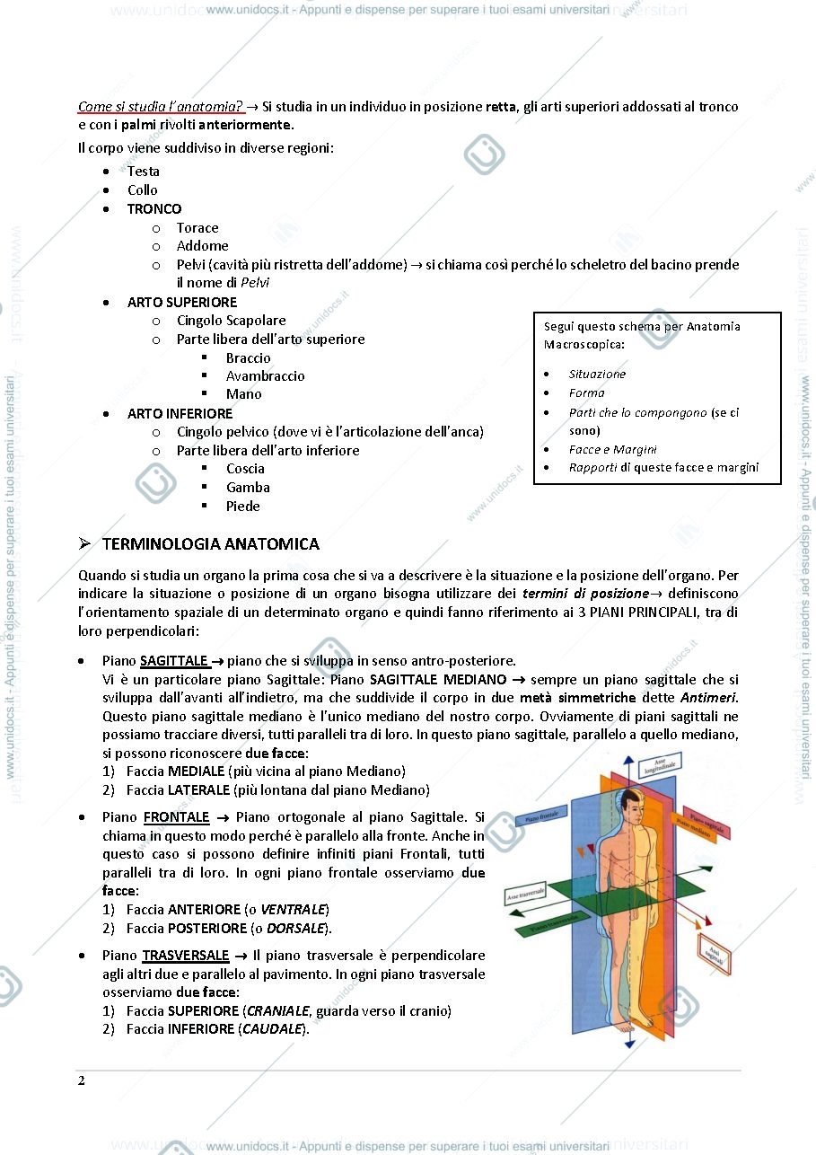 Anteprima pagina 2 — Anatomia e Istologia