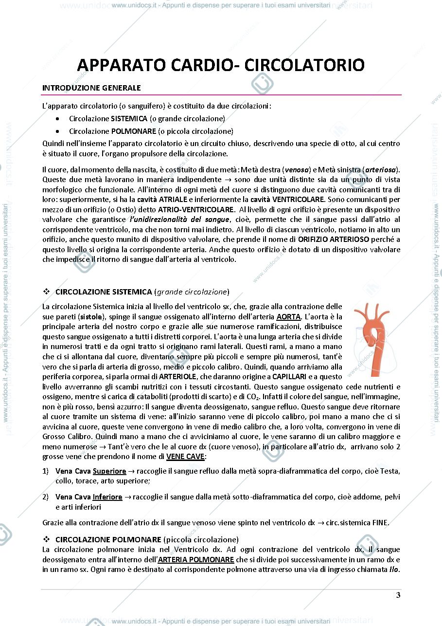 Anteprima pagina 3 — Anatomia e Istologia