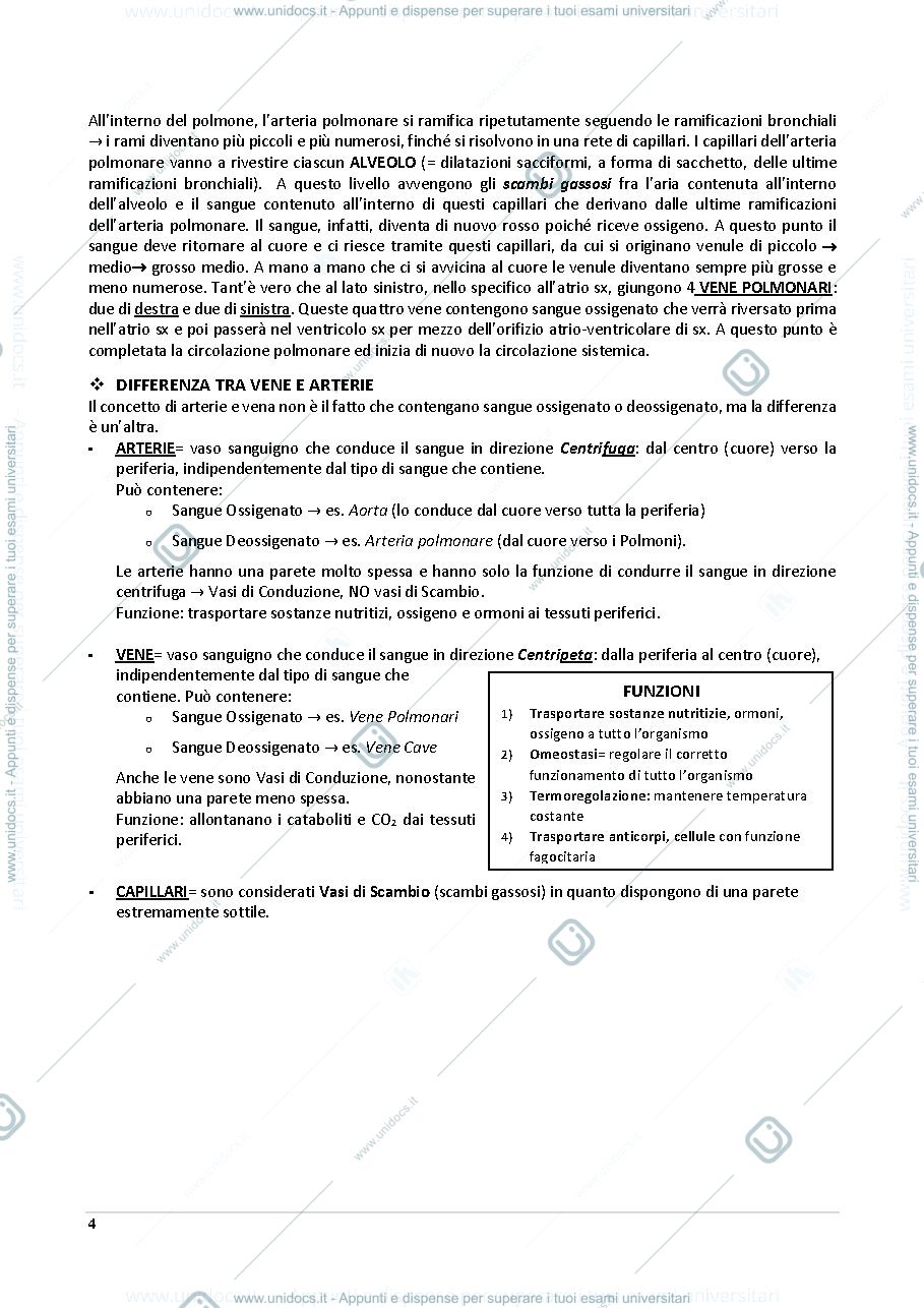 Anteprima pagina 4 — Anatomia e Istologia