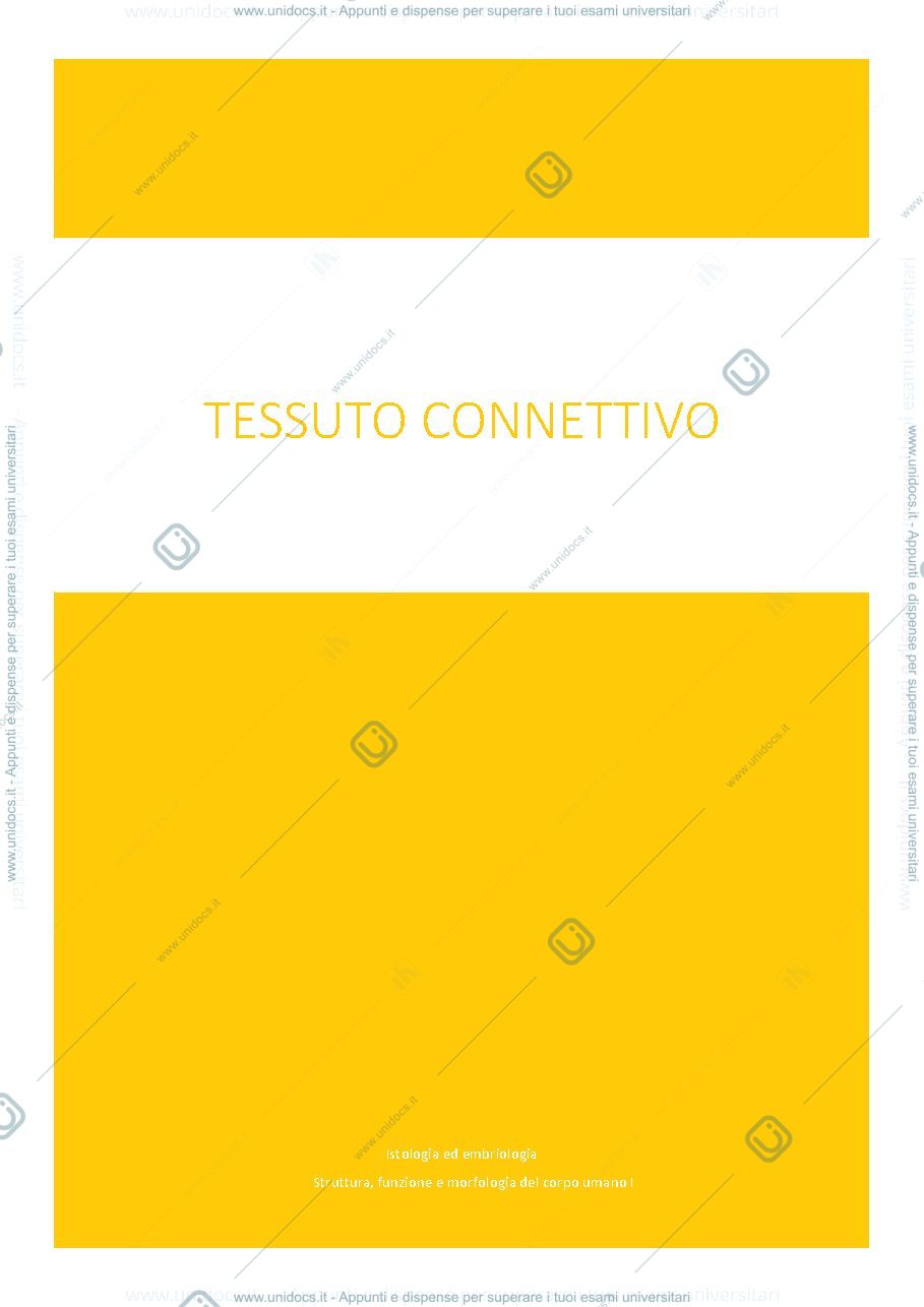 Anteprima pagina 1 — Tessuto connettivo e tessuto connettivo di sostegno