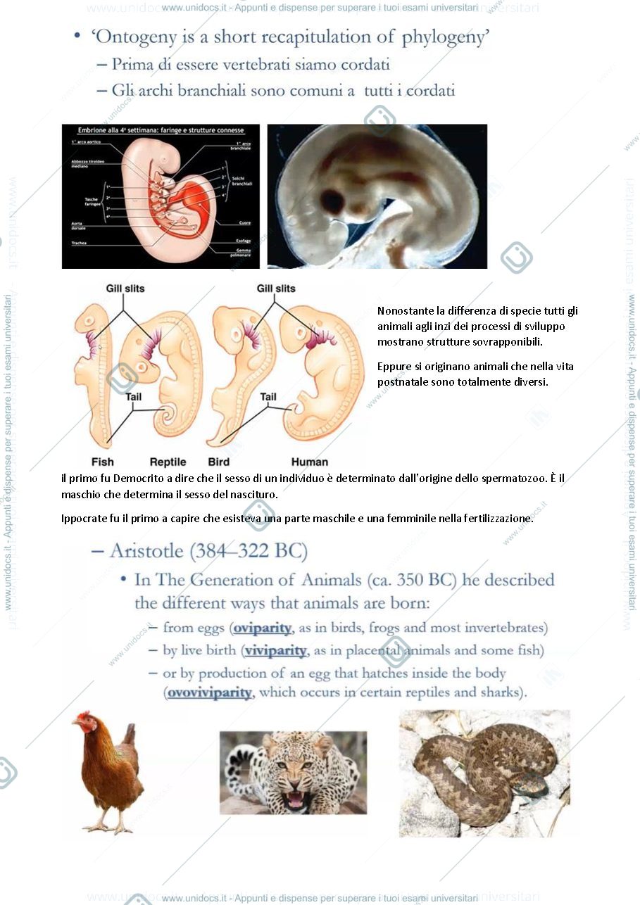 Anteprima pagina 2 — dispense embriologia