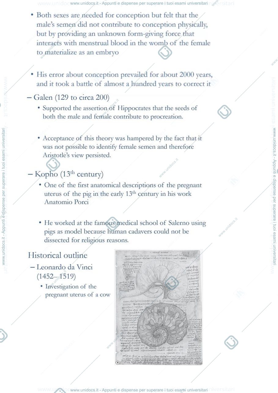 Anteprima pagina 4 — dispense embriologia