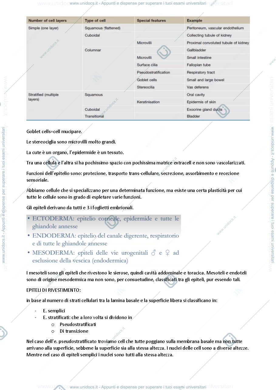 Anteprima pagina 4 — Dispense di Istologia 