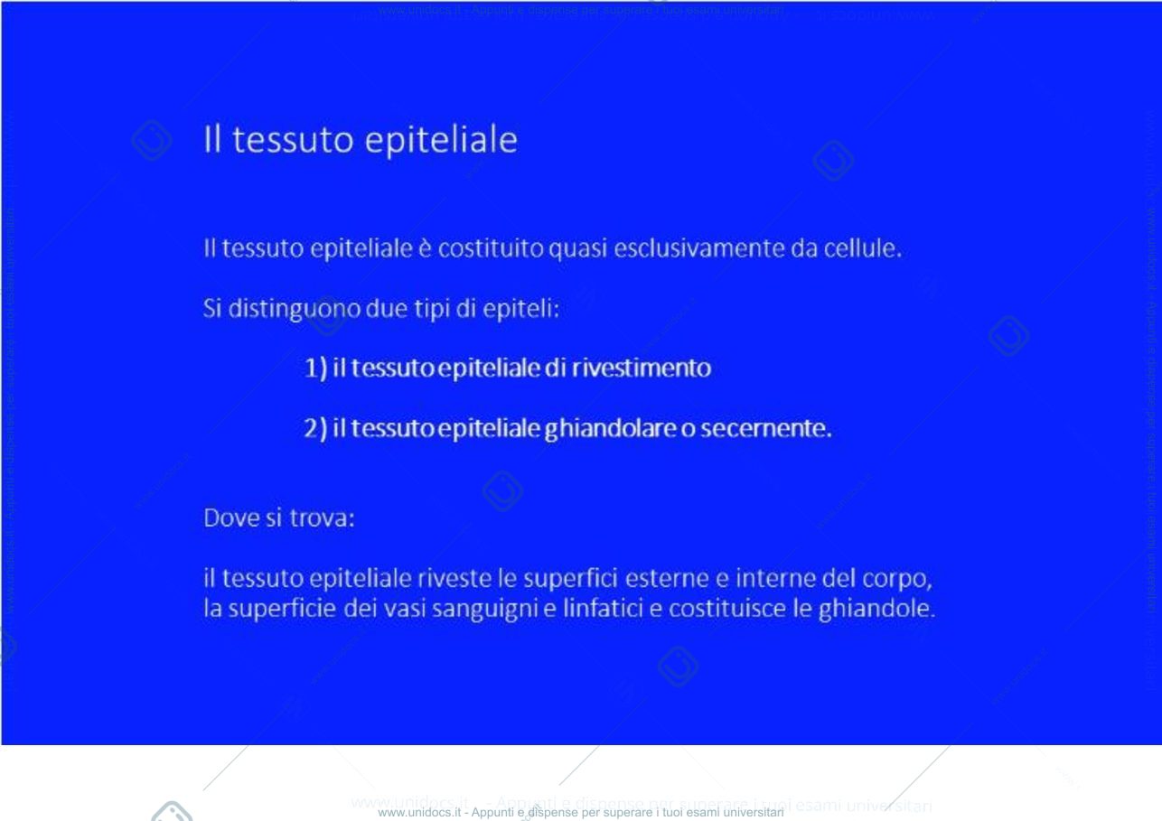 Anteprima pagina 1 — Tessuto epiteliale di rivestimento