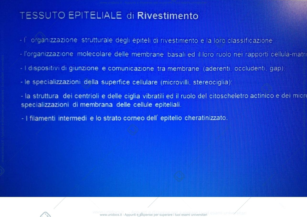 Anteprima pagina 2 — Tessuto epiteliale di rivestimento