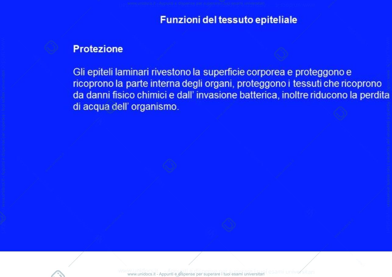 Anteprima pagina 4 — Tessuto epiteliale di rivestimento