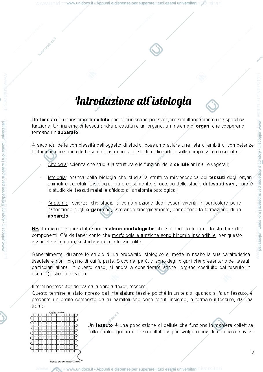 Anteprima pagina 2 — Istologia, Monesi