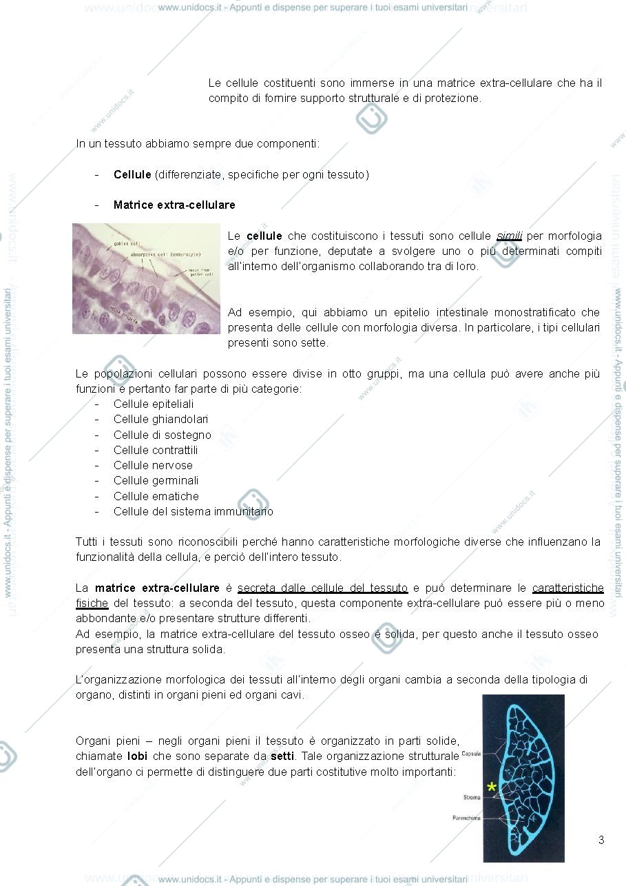 Anteprima pagina 3 — Istologia, Monesi