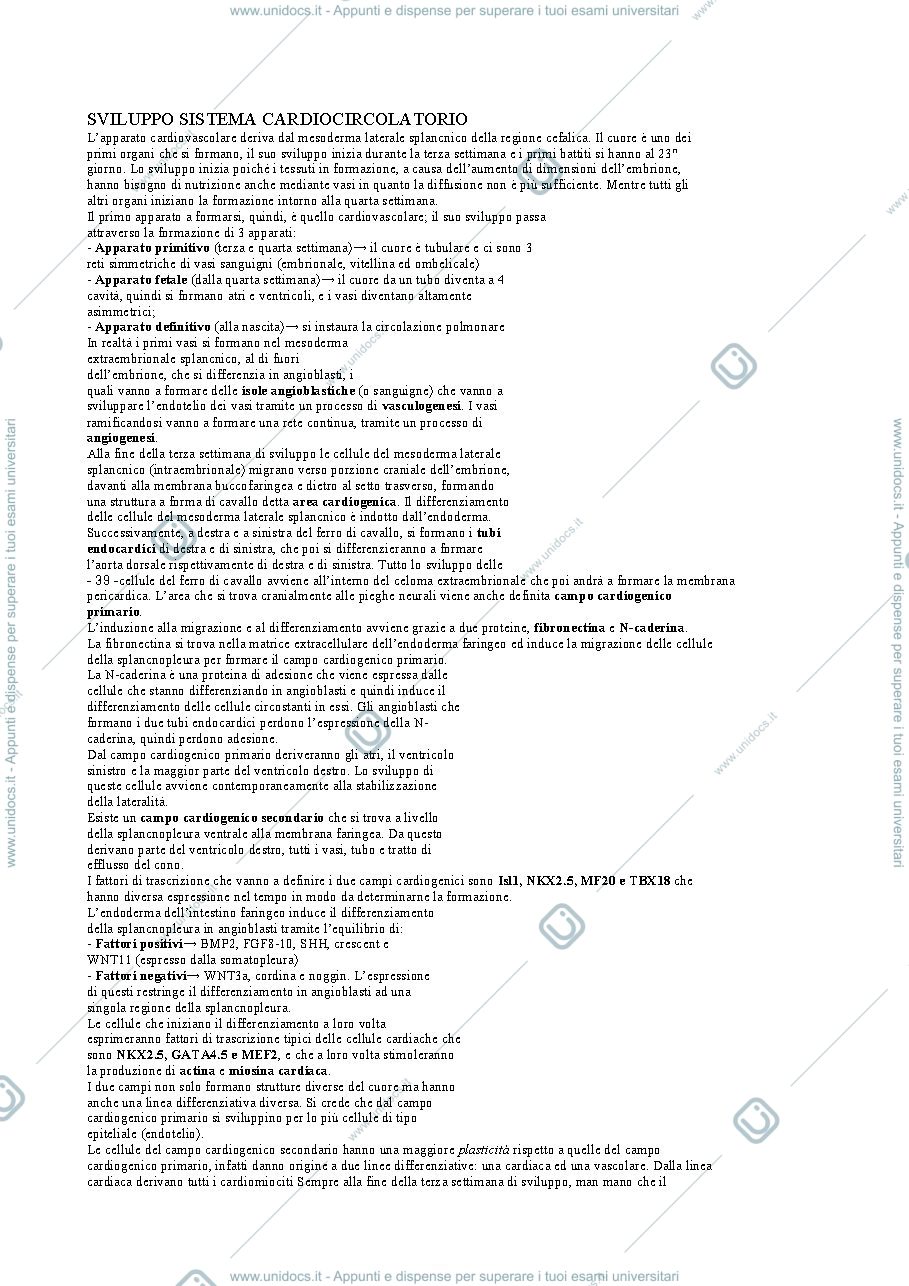 Anteprima pagina 1 — Cuore