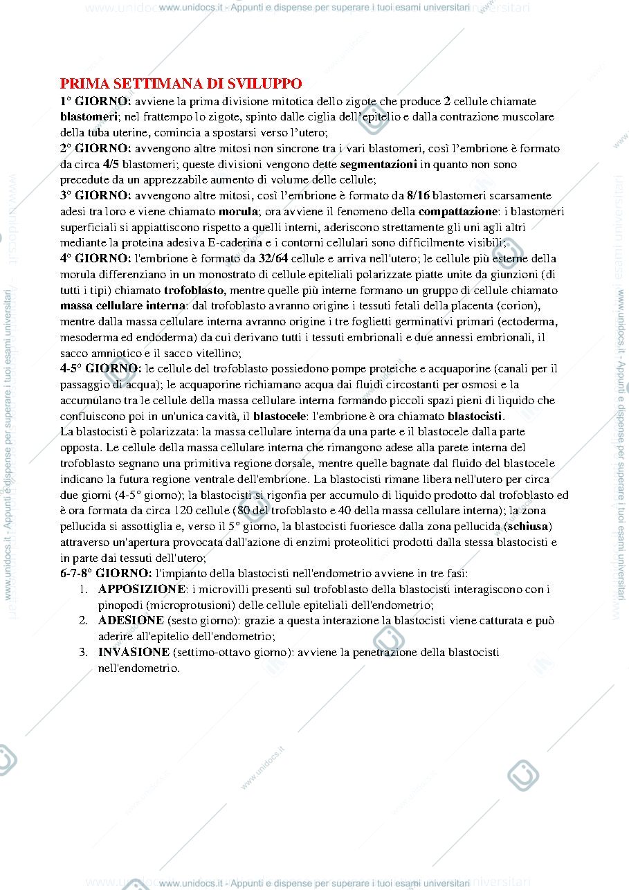 Anteprima pagina 1 — 1° settimana