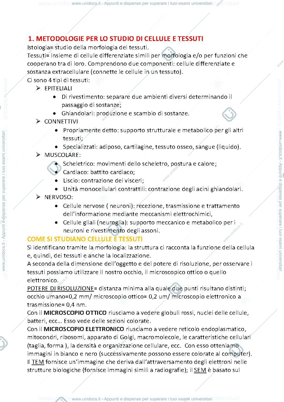 Anteprima pagina 1 — epiteli di rivestimento (riassunto dal monesi)