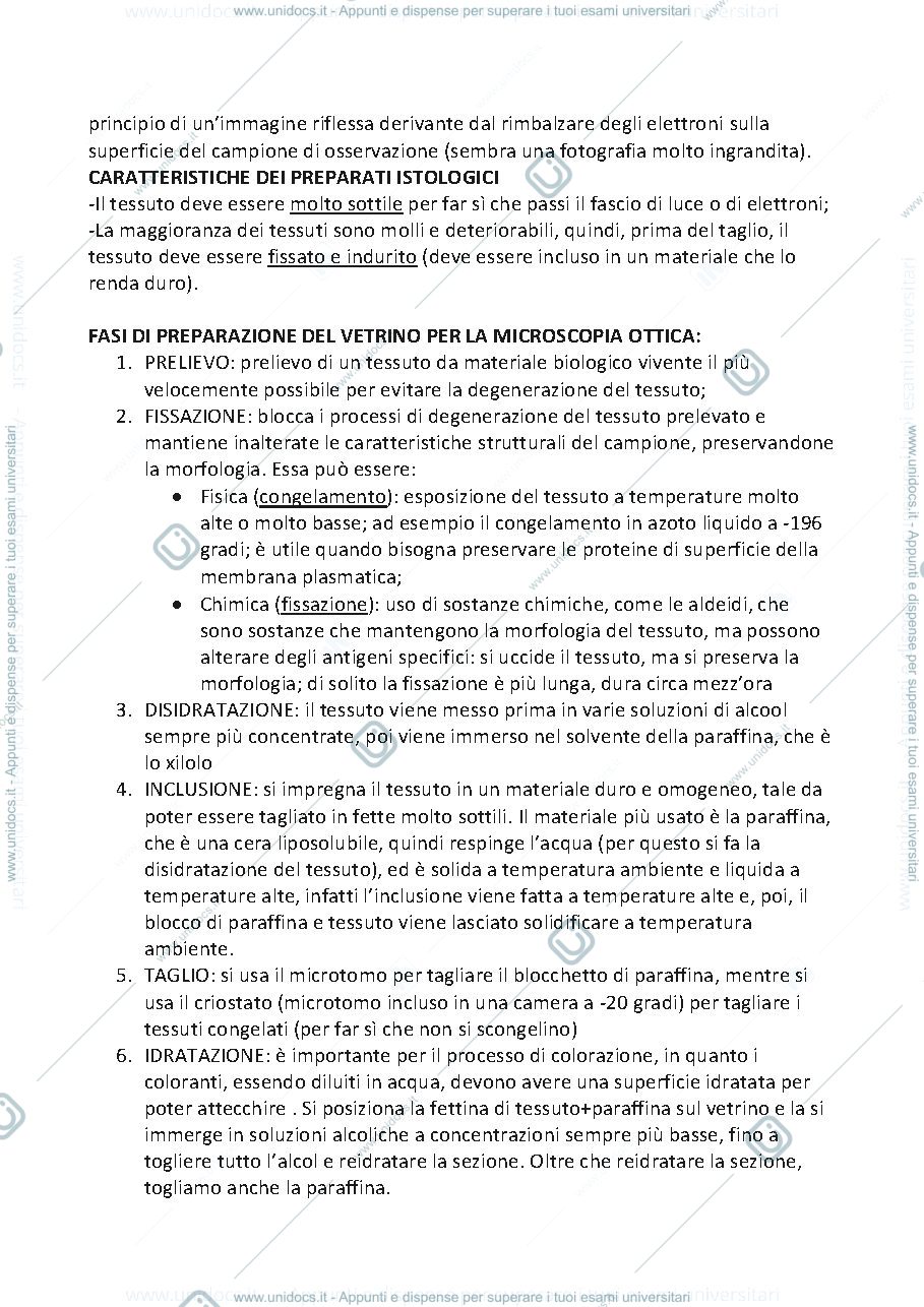 Anteprima pagina 2 — epiteli di rivestimento (riassunto dal monesi)