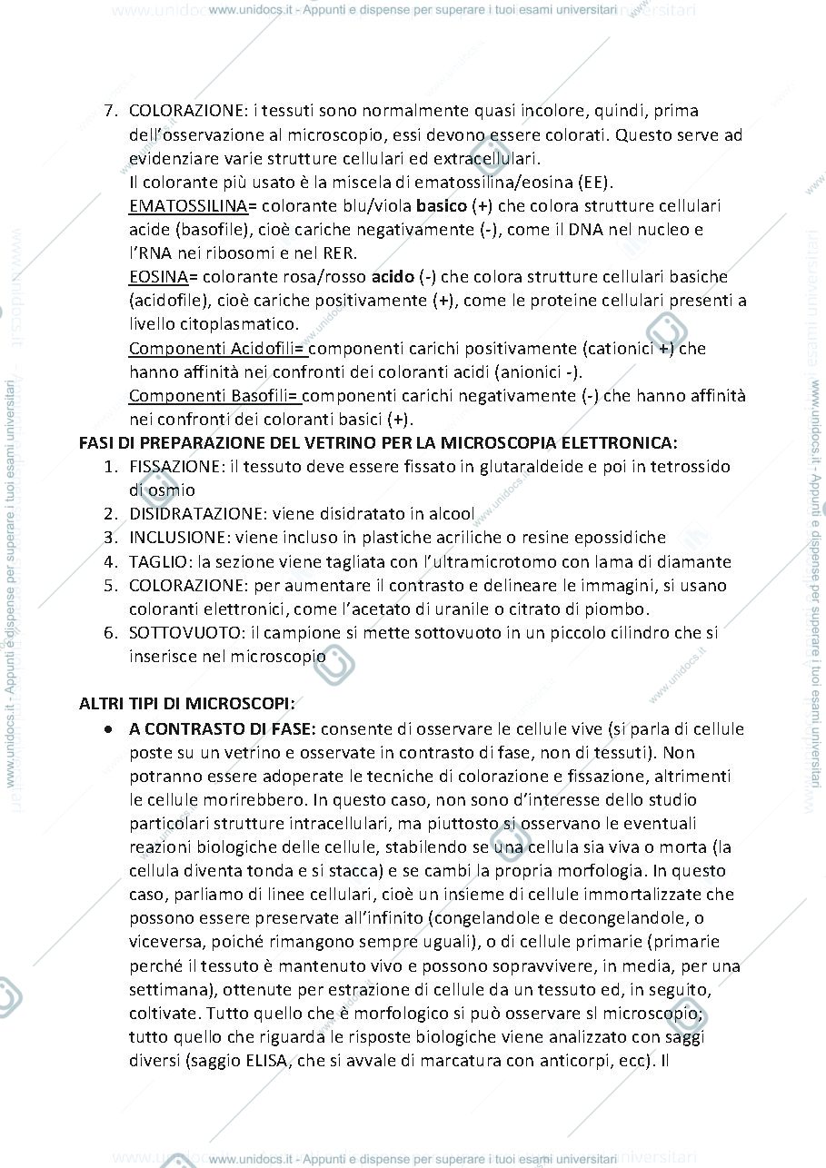 Anteprima pagina 3 — epiteli di rivestimento (riassunto dal monesi)