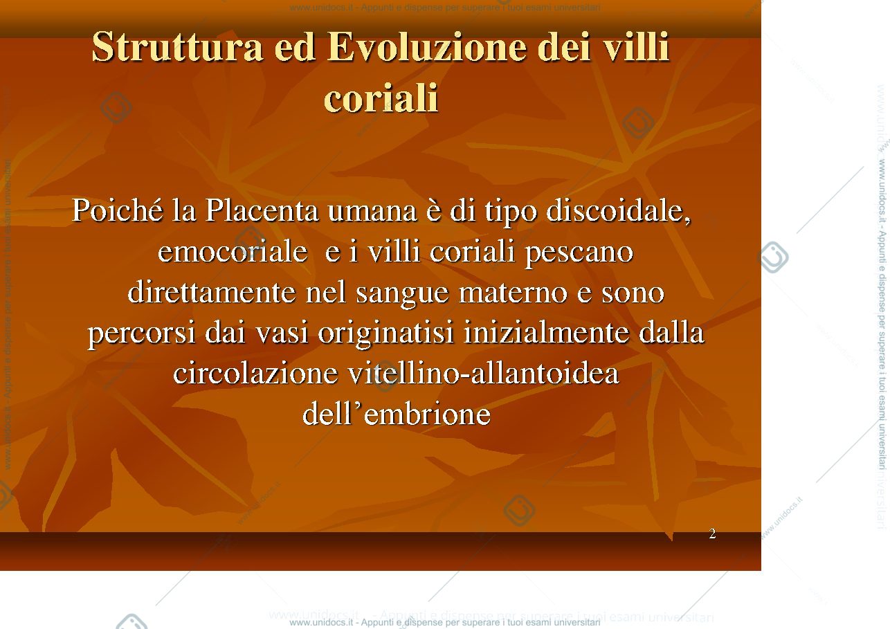 Anteprima pagina 2 — Annessi Embrionali