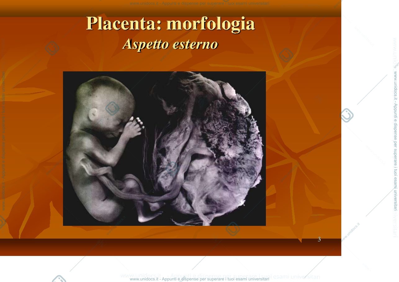 Anteprima pagina 3 — Annessi Embrionali