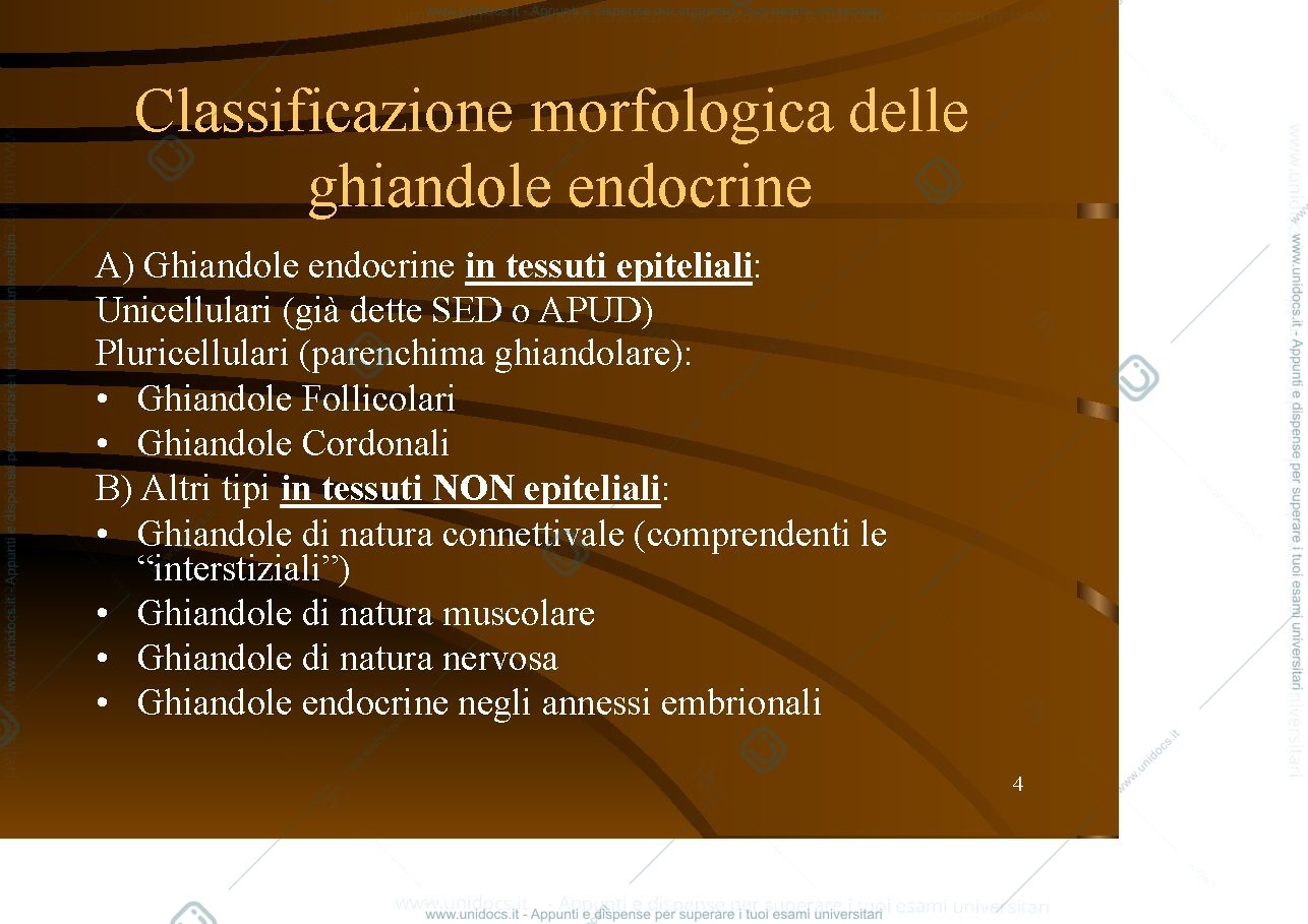 Anteprima pagina 4 — ghiandole endocrine