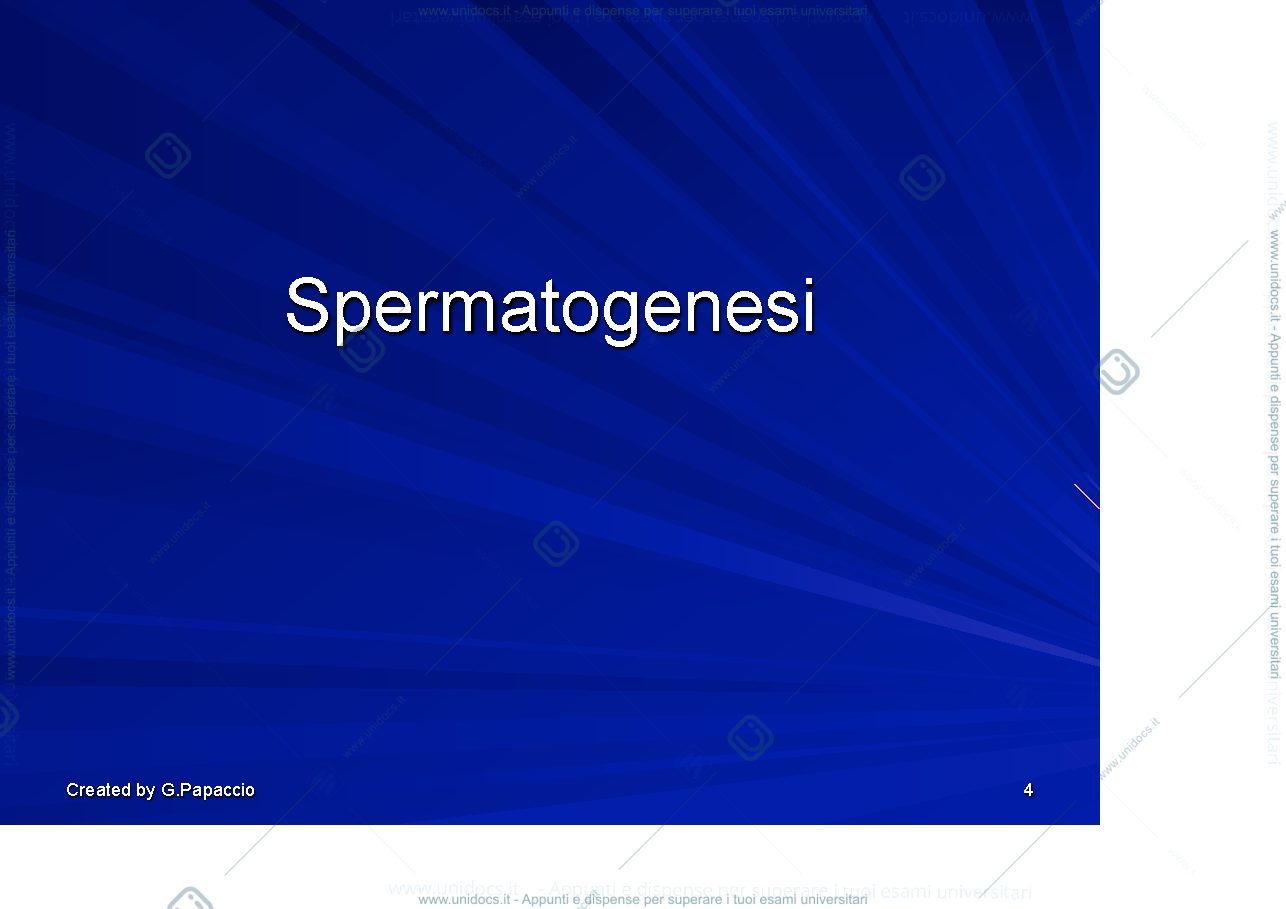 Anteprima pagina 4 — Gametogenesi (spermatogenesi)