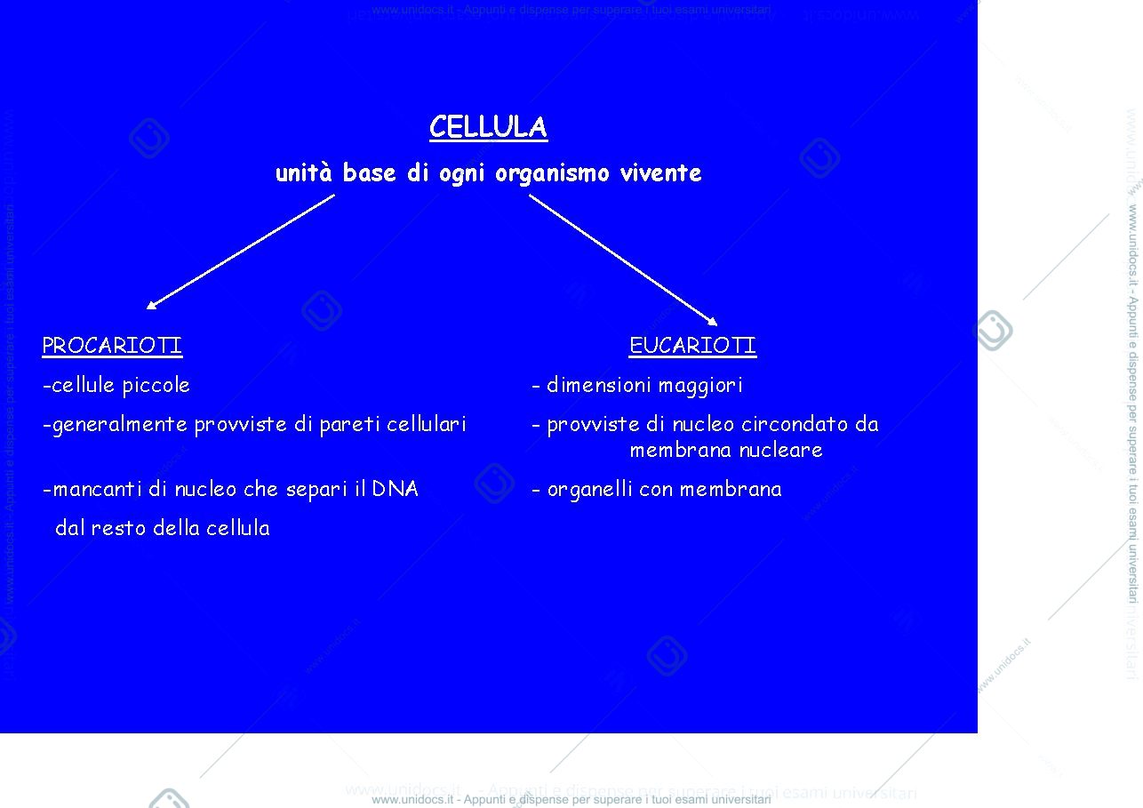 Anteprima pagina 2 — citologia
