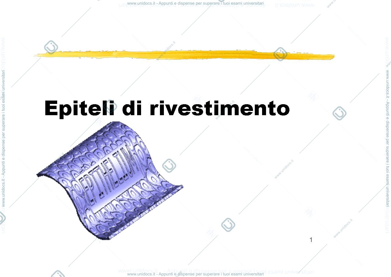 Anteprima pagina 1 — epiteli rivestimento