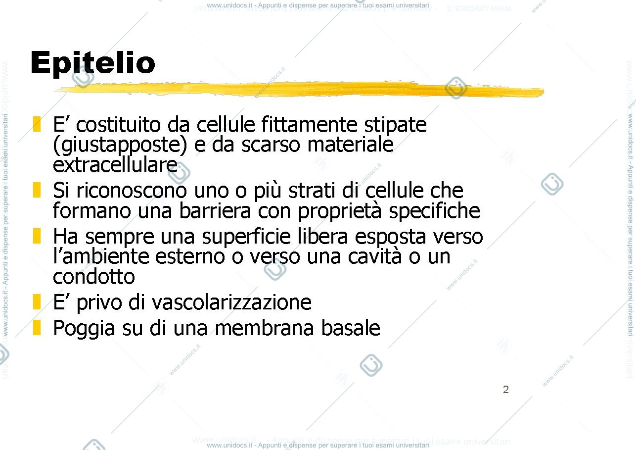 Anteprima pagina 2 — epiteli rivestimento