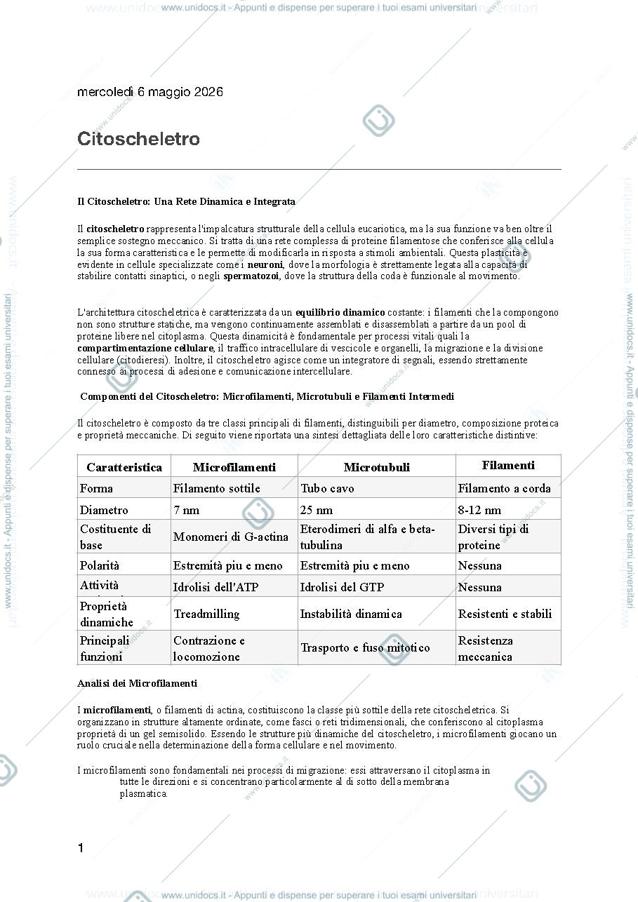 Anteprima pagina 1 — Citoscheletro