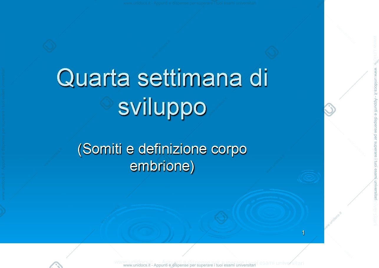Anteprima pagina 1 — Quarta settimana (somiti e delimit)