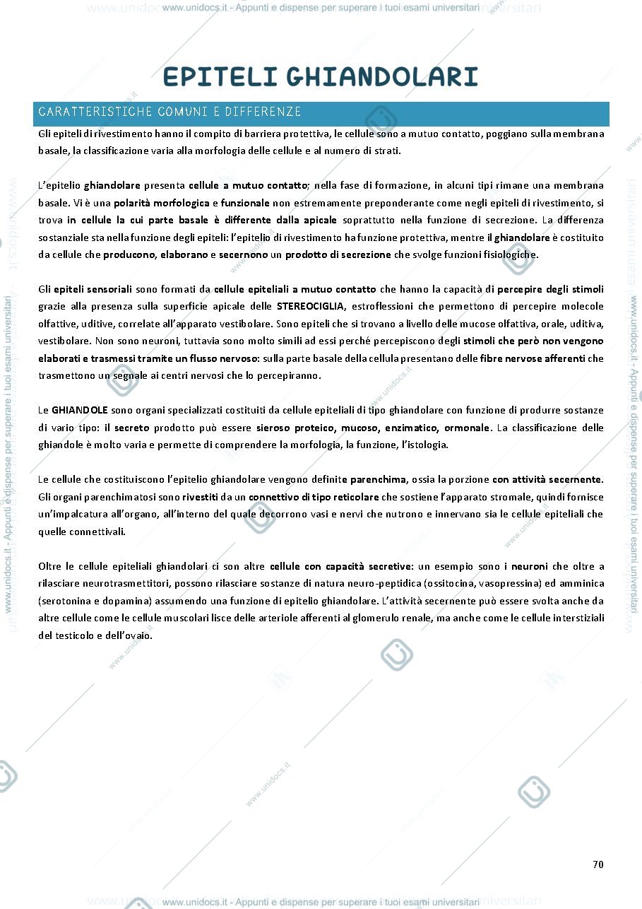 Anteprima pagina 1 — Tessuto ghiandolare e tessuto sensoriale
