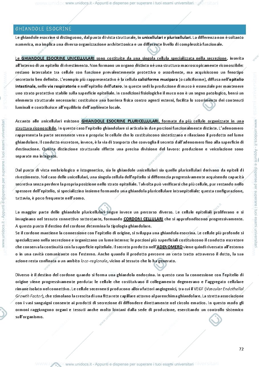 Anteprima pagina 3 — Tessuto ghiandolare e tessuto sensoriale