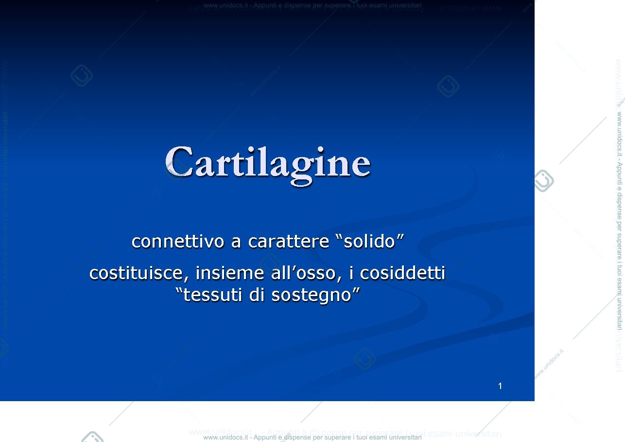 Anteprima pagina 1 — cartilagine