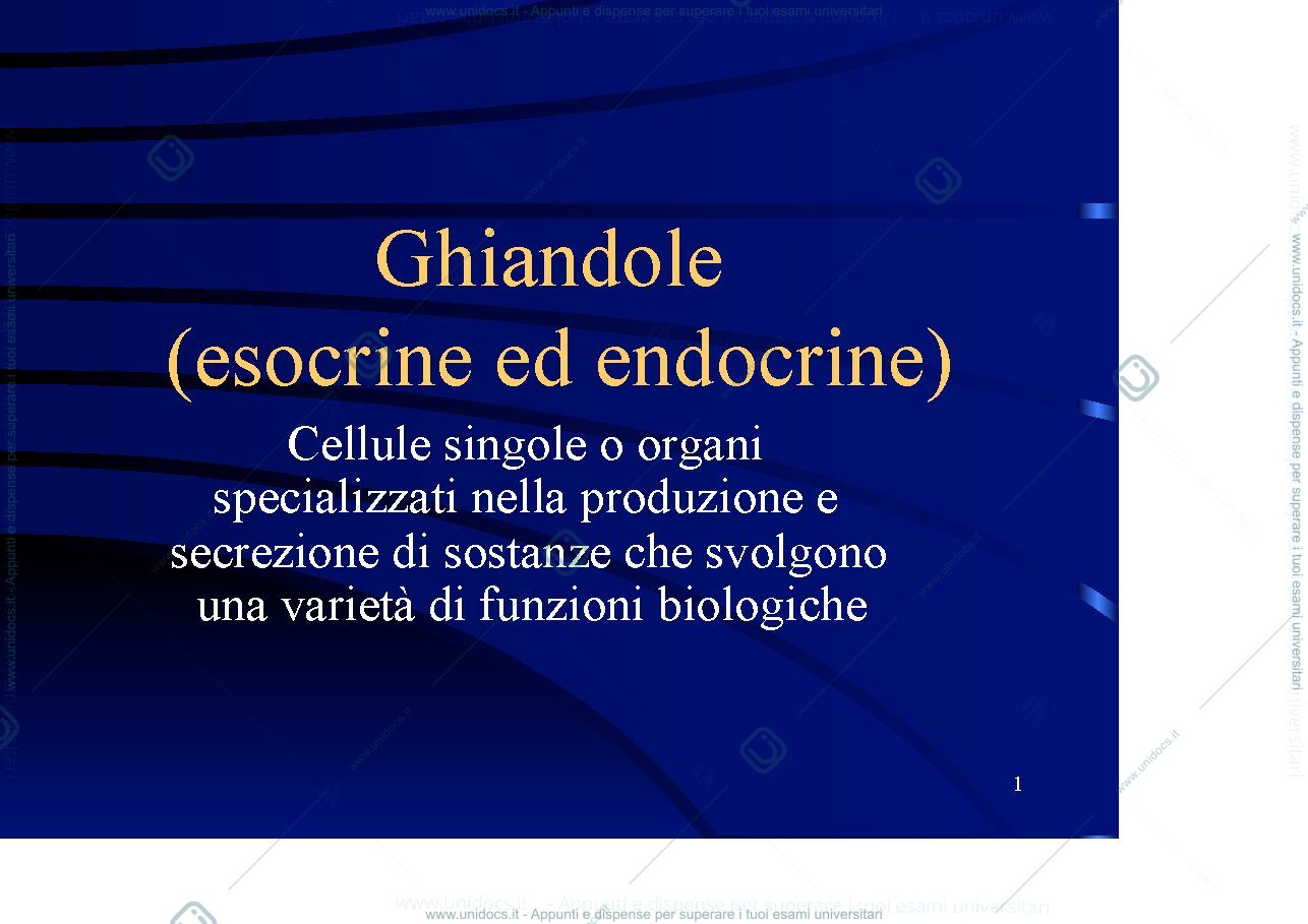 Anteprima pagina 1 — ghiandole esocrine