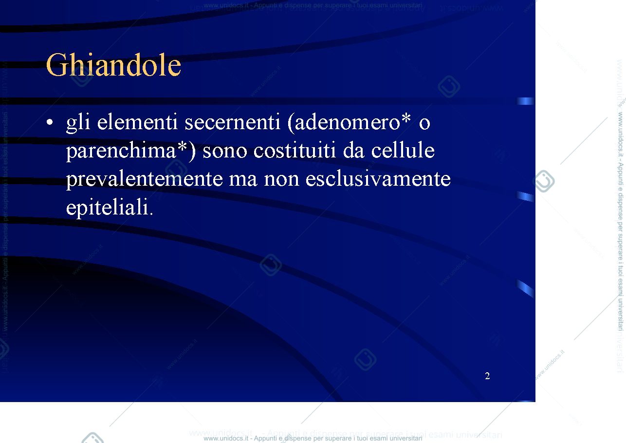 Anteprima pagina 2 — ghiandole esocrine