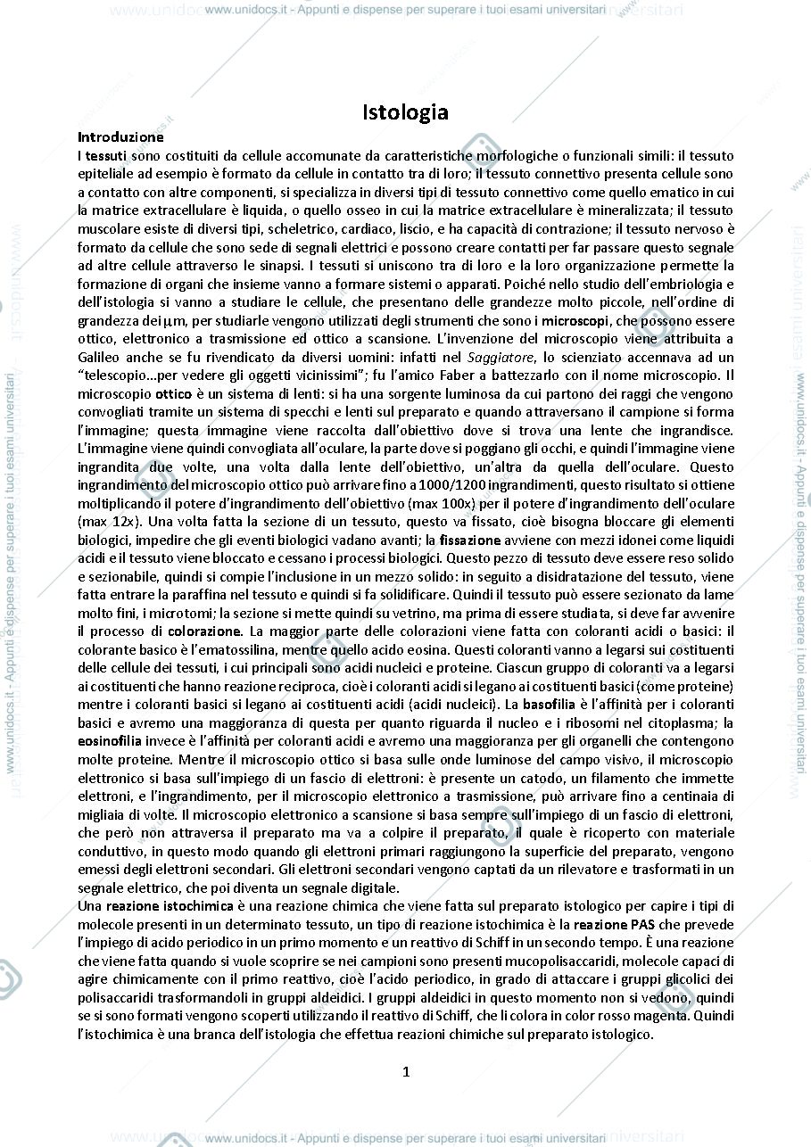 Anteprima pagina 1 — isto Berna