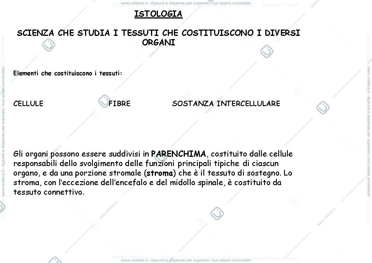 Anteprima pagina 1 — epiteli di rivestimento